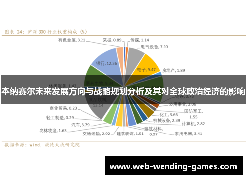 本纳赛尔未来发展方向与战略规划分析及其对全球政治经济的影响